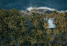 Indonesian govt must fulfill UN request to investigate Papua