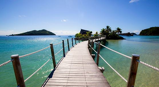 COVID-19 may create a flood of criminal deportees to the Pacific