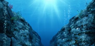 World leaders descend on France for ocean summit as Macron puts spotlight on seas