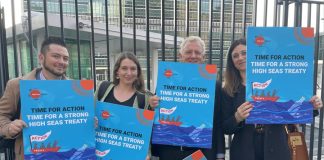 New high seas treaty to fill vital gap in ocean protection