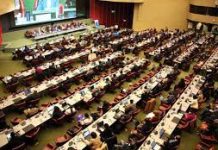 Pressure grows for deal to save nature at crunch talks in Geneva