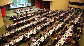 Pressure grows for deal to save nature at crunch talks in Geneva