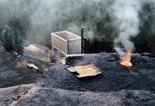 IPCC adaptation report ‘a damning indictment of failed global leadership on climate’