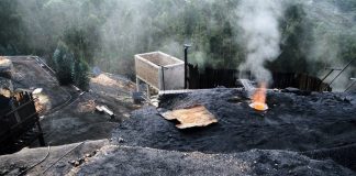 IPCC adaptation report ‘a damning indictment of failed global leadership on climate’