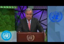 UN weather agency to spearhead 5 year early warning plan, boosting climate action