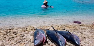 Fisheries and climate change: A Pacific perspective