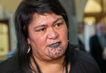 NZ foreign Minister to visit Fiji