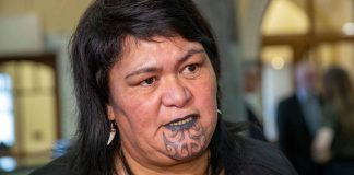 NZ foreign Minister to visit Fiji
