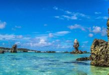 New Zealand giving ‘green light’ to sea bed mining in ungoverned Pacific waters