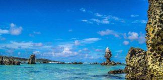 New Zealand giving ‘green light’ to sea bed mining in ungoverned Pacific waters