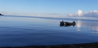 UN ocean treaty is ‘once in a lifetime’ chance to protect the high seas