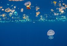 SPREP applauds endorsement of resolution to end Plastic Pollution