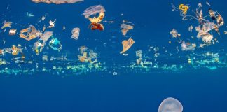 SPREP applauds endorsement of resolution to end Plastic Pollution