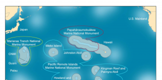 ‘Toxic’ misinformation is fueling a Pacific Marine Sanctuary debate