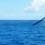 Cook Islands welcomes “landmark” win in the London Privy Council