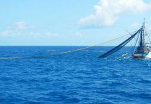 Cook Islands welcomes “landmark” win in the London Privy Council