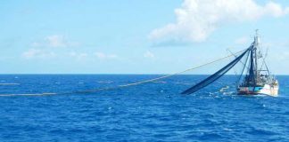 Cook Islands welcomes “landmark” win in the London Privy Council