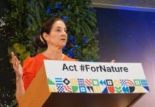 U.S calls on Australia to increase 2030 emission reduction pledge to help prevent ‘greater destruction’