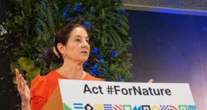 U.S calls on Australia to increase 2030 emission reduction pledge to help prevent ‘greater destruction’