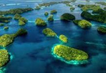 Former Palau leader fears marine sanctuary act could be ditched