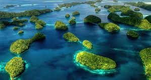 Former Palau leader fears marine sanctuary act could be ditched