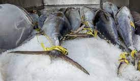 Fiji loses millions to illegal fishing