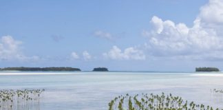 Pacific Islanders at risk of statelessness if laws not strengthened says new report
