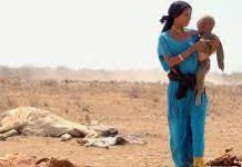 World ‘at a crossroads’ as droughts increase nearly a third in a generation