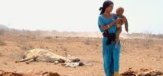 World ‘at a crossroads’ as droughts increase nearly a third in a generation