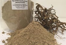 Vanuatu to stop exporting kava to Fiji