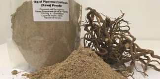 Vanuatu to stop exporting kava to Fiji
