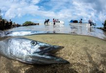 2022: The Year to Stop the Decline of the Ocean’s Health