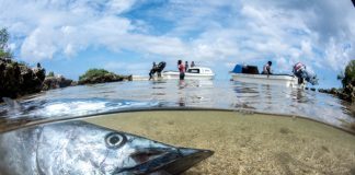 2022: The Year to Stop the Decline of the Ocean’s Health