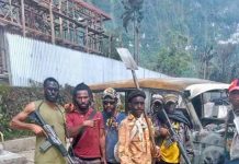 PNG Guns amnesty ends: Police Commissioner
