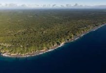 Niue:Tiny Pacific island nation declares bold plan to protect 100 percent of its ocean