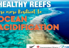 UN Ocean Conference 2022: Our ocean health sits within our hands