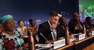 WTO members secure unprecedented package of trade outcomes at MC12