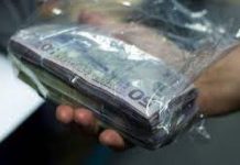 Plea for bank accounts from Pacific Island money remittance companies rejected by NZ High Court