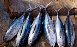 Agreement on Fisheries subsidies remains the Priority for the Pacific