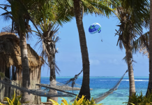 The economic opportunity as Fiji recovers