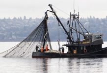Global Trade Agreement on Fisheries subsidies protects big fishing fleets
