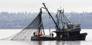 Global Trade Agreement on Fisheries subsidies protects big fishing fleets
