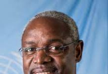 Ibrahim Thiaw appointed interim UN Climate Change head
