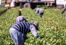 Labour Migration and Climate Justice?