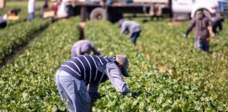 Labour Migration and Climate Justice?