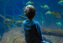 Ocean literacy and unlocking a revolution in ocean science solutions