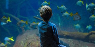 Ocean literacy and unlocking a revolution in ocean science solutions