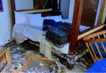 Majority of businesses report structural, coastal damages in Cook Islands