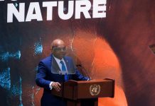 ‘Moment for Nature’ essential to beat back threats, spur climate action