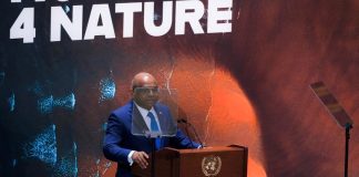 ‘Moment for Nature’ essential to beat back threats, spur climate action